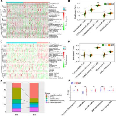 Identification of Potential Antigens for Developing mRNA Vaccine for Immunologically Cold Mesothelioma